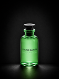LOUIS VUITTON CACTUS GARDEN