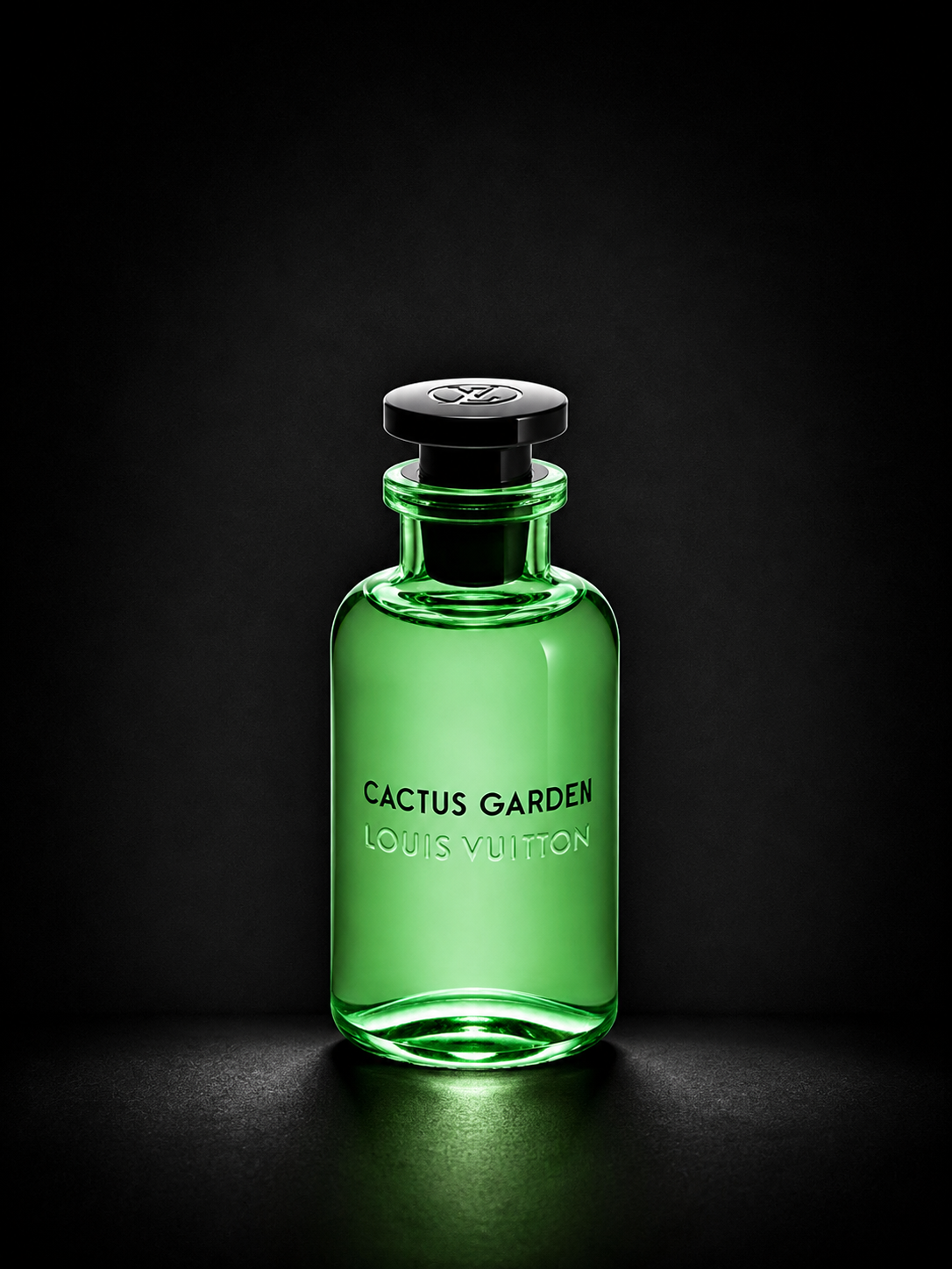 LOUIS VUITTON CACTUS GARDEN