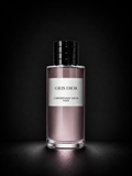 DIOR GRIS DIOR