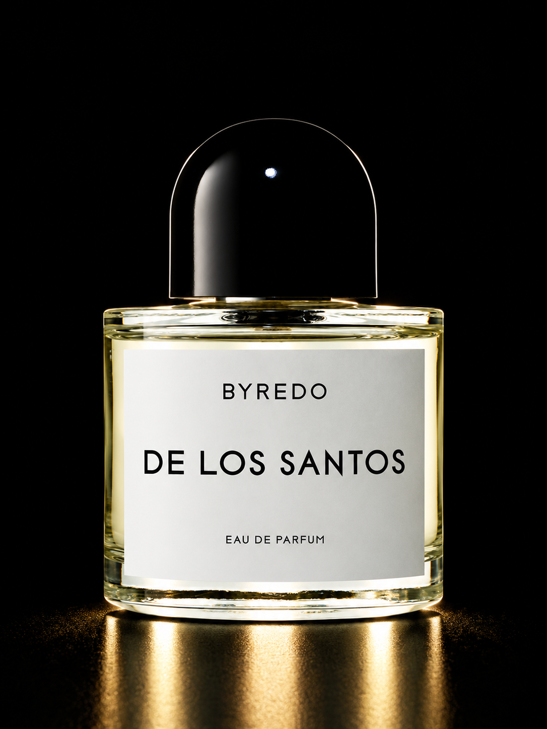 BYREDO DE LOS SANTOS